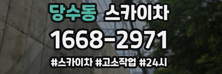 당수동 스카이차