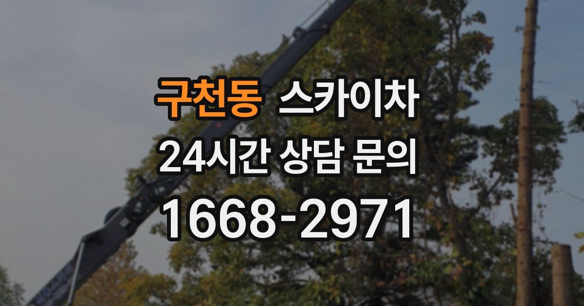 구천동 스카이차