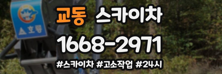 교동 스카이차