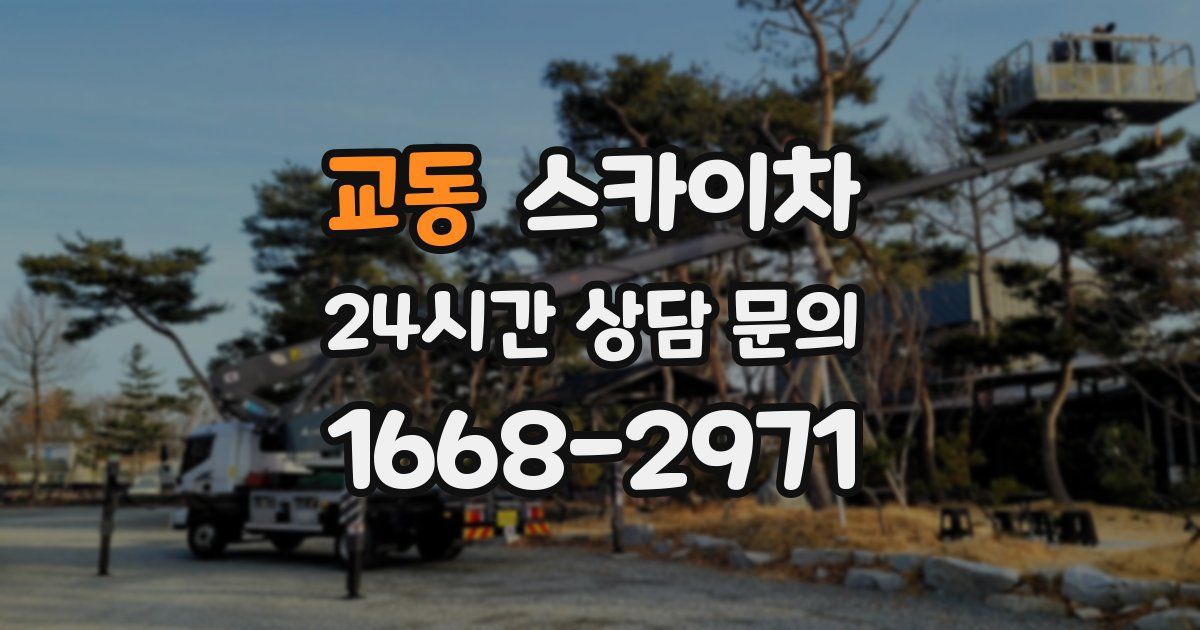 교동 스카이차