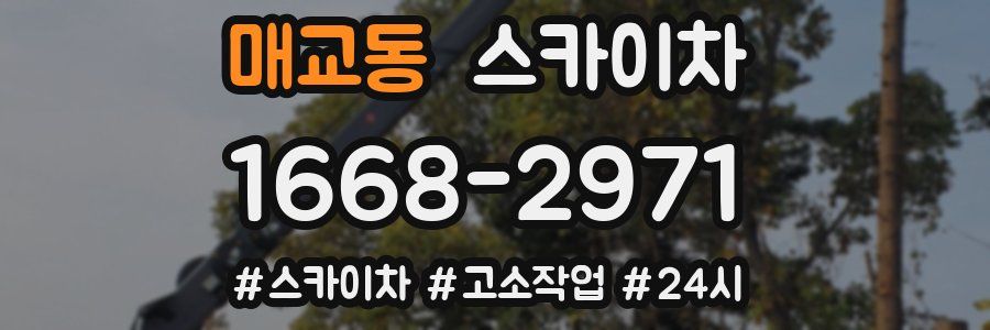 매교동 스카이차