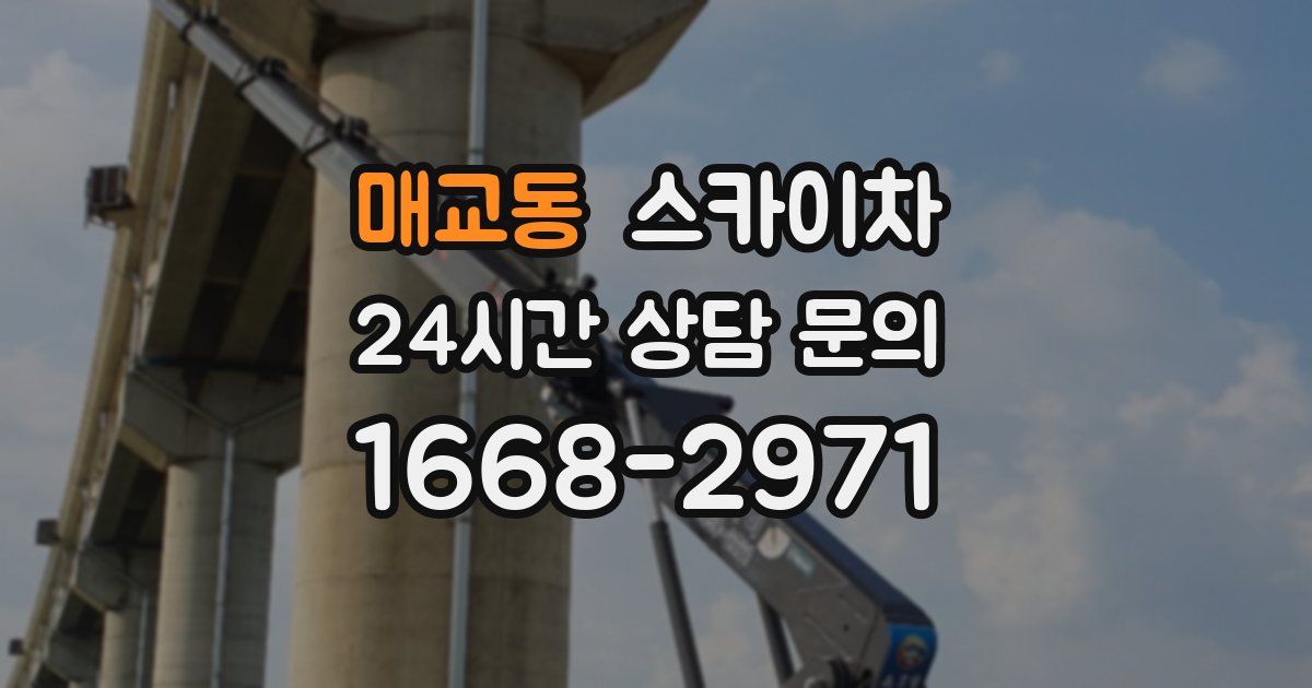 매교동 스카이차