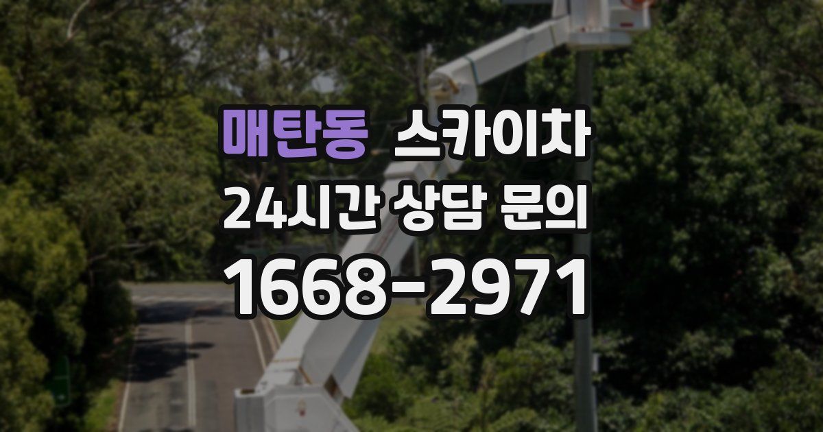 매탄동 스카이차