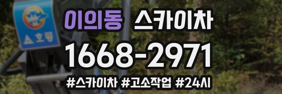 이의동 스카이차