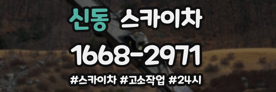 신동 스카이차
