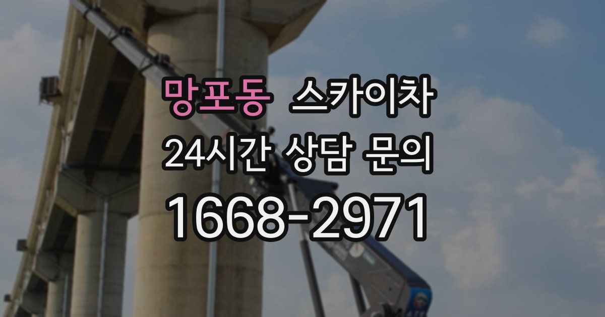 망포동 스카이차