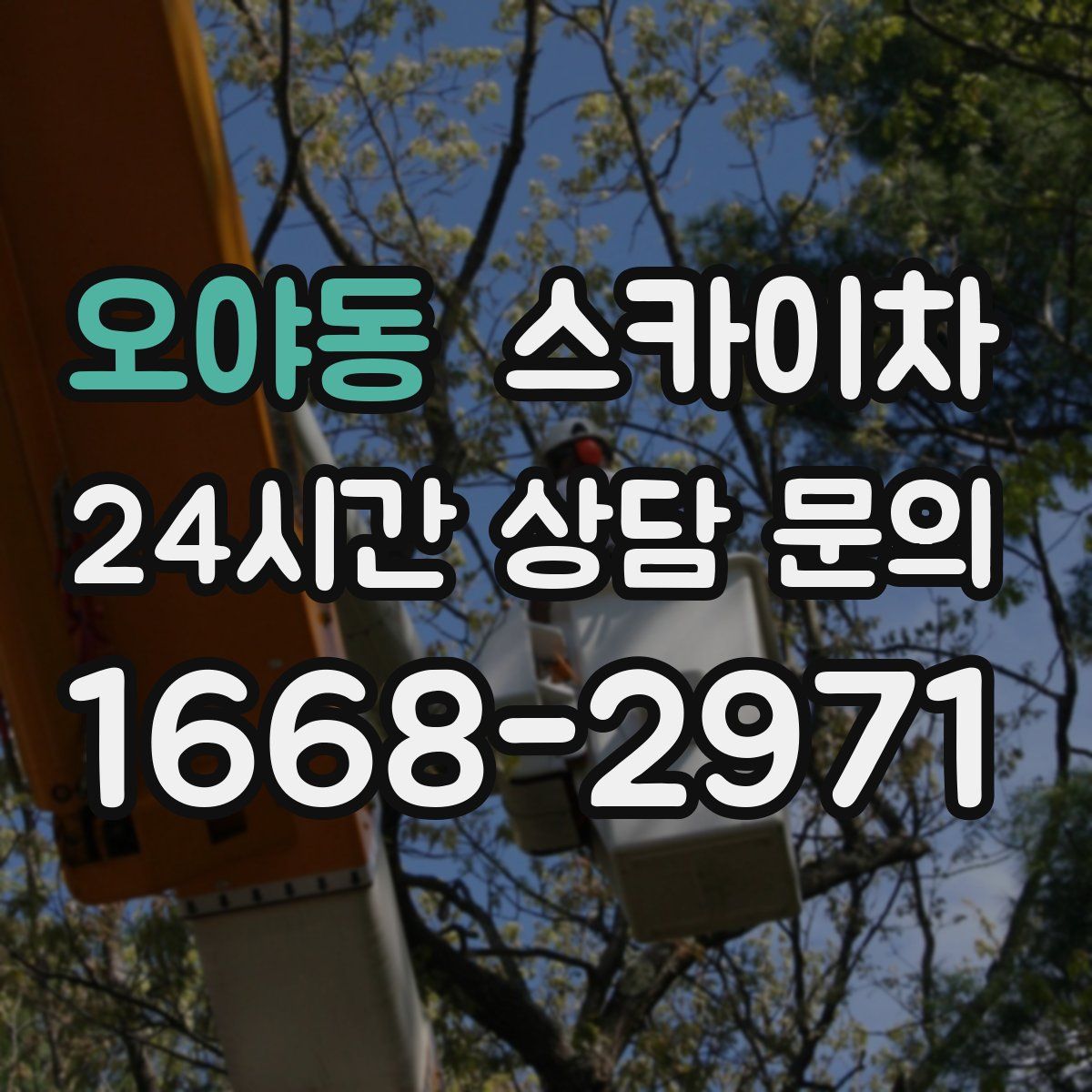 오야동 스카이차