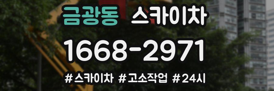 금광동 스카이차