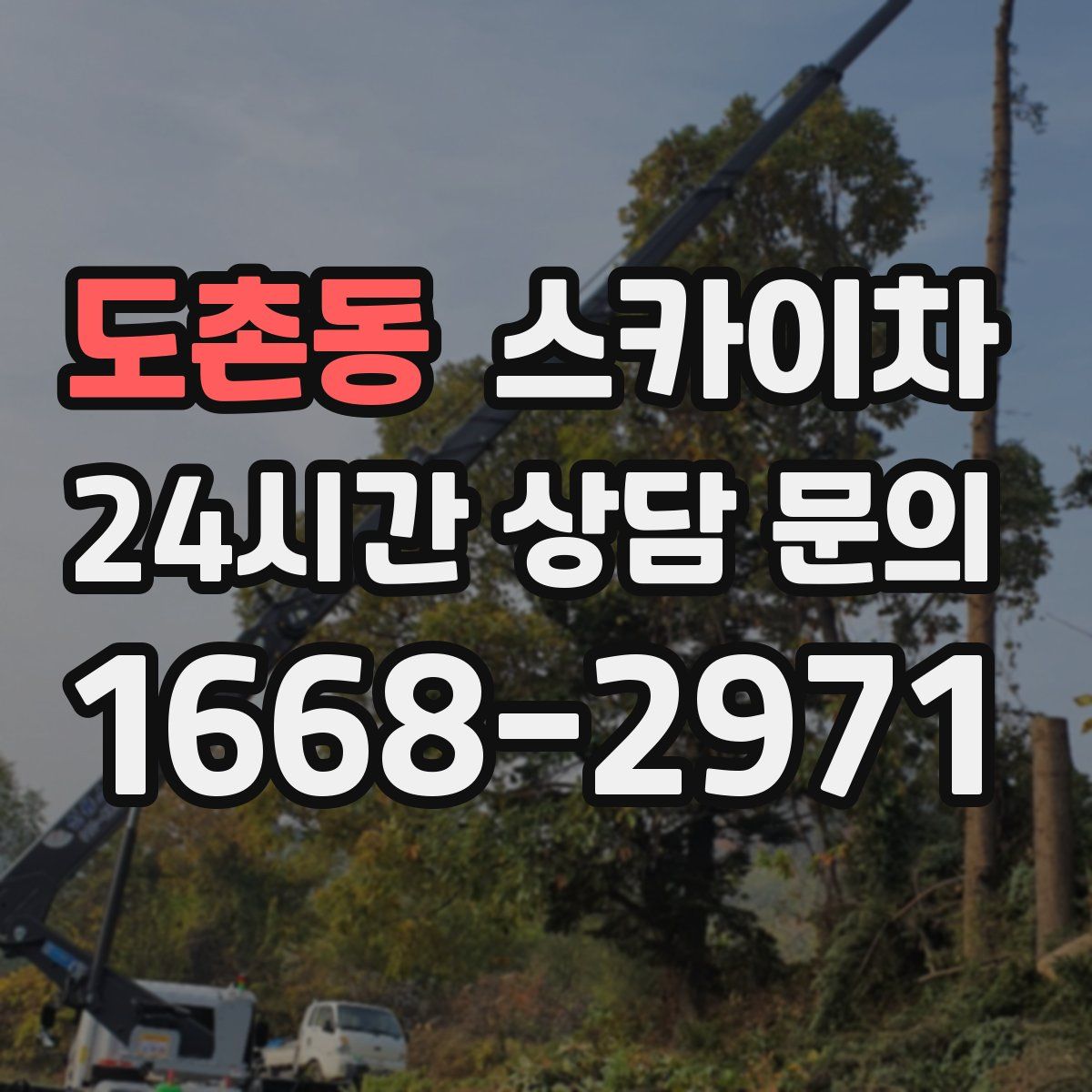 도촌동 스카이차