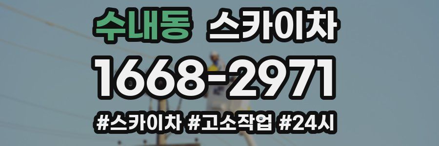 수내동 스카이차