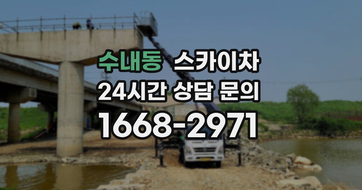 수내동 스카이차