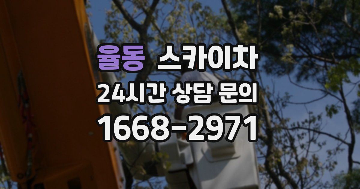 율동 스카이차