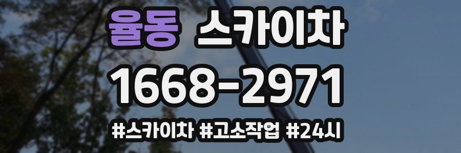 율동 스카이차