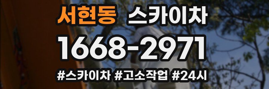 서현동 스카이차
