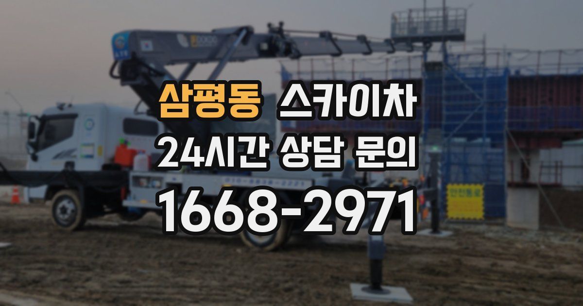 삼평동 스카이차