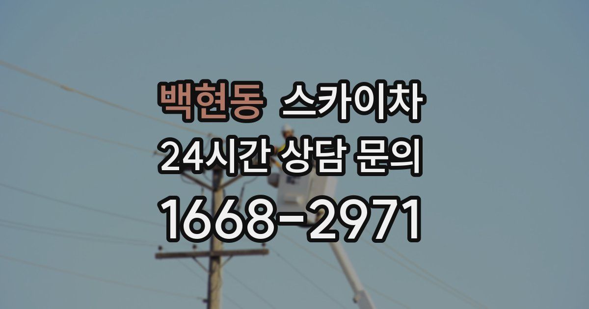 백현동 스카이차