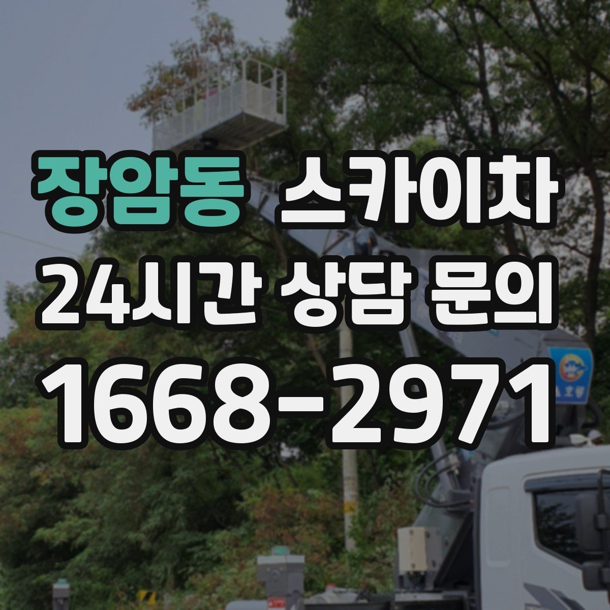 장암동 스카이차 현장 조건에 따라 비용이 달라지는 경우