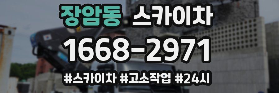 장암동 스카이차