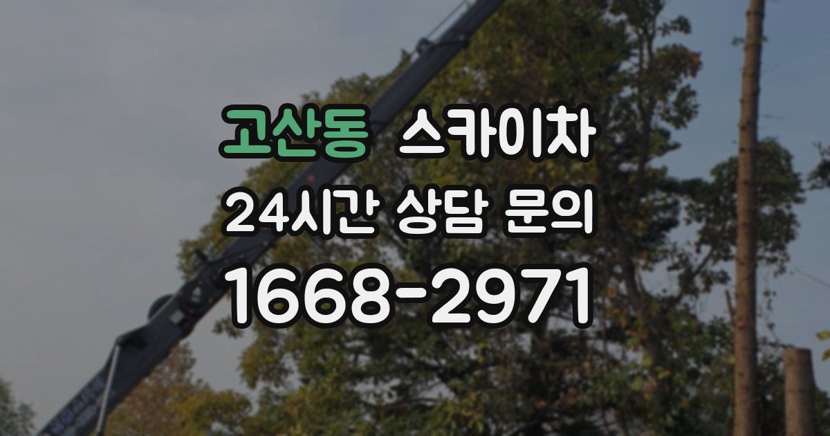 고산동 스카이차