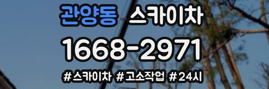 관양동 스카이차