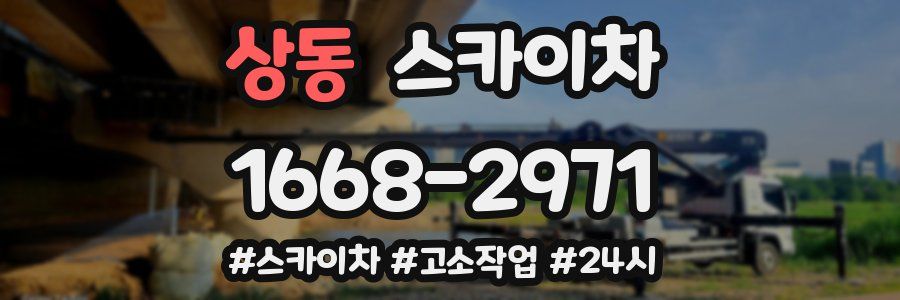 상동 스카이차