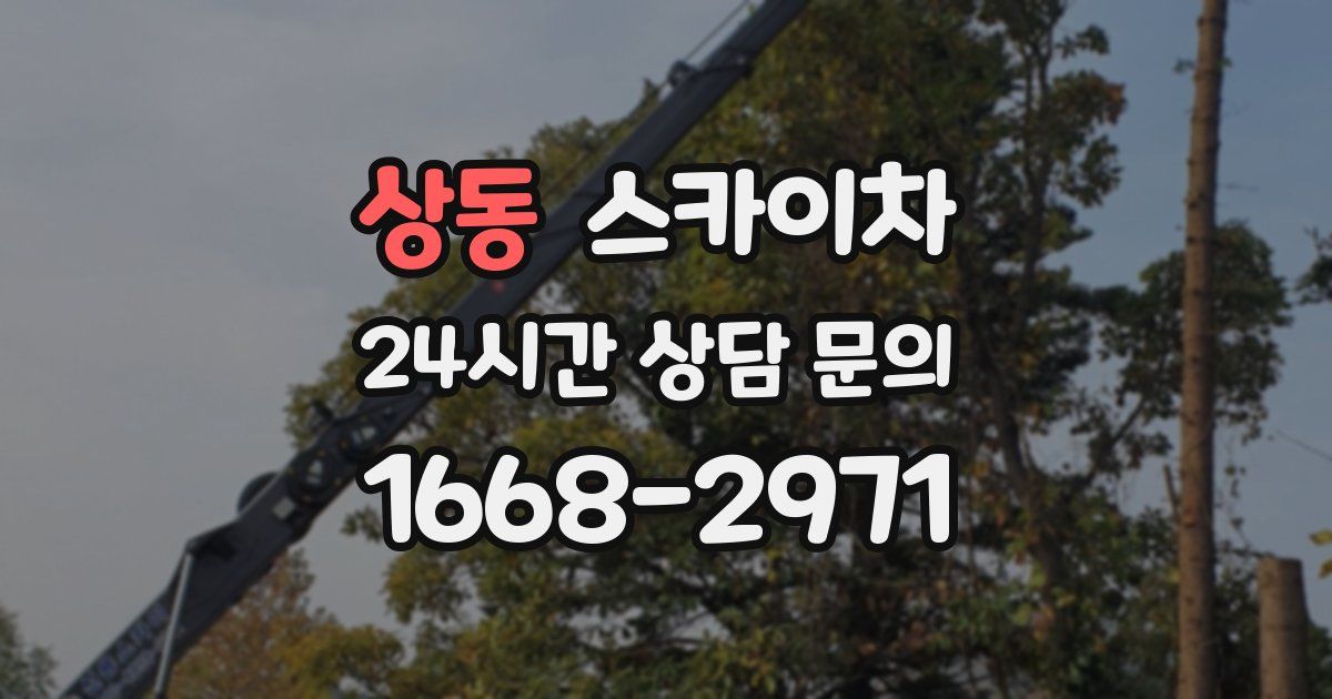 상동 스카이차