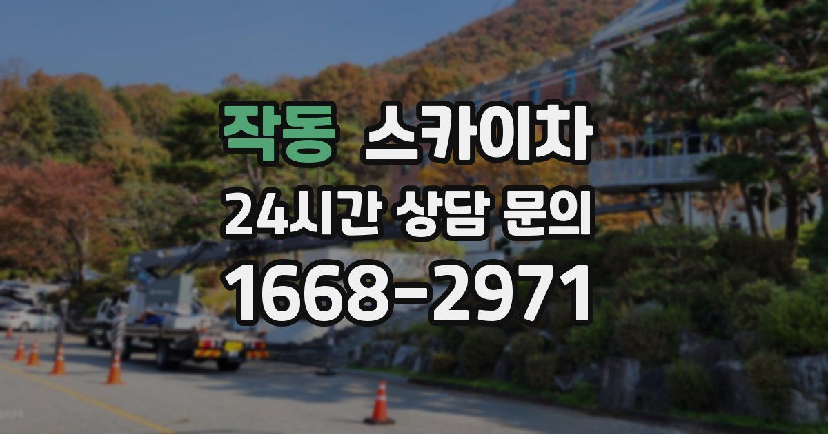 작동 스카이차