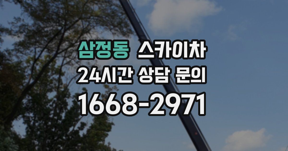 삼정동 스카이차