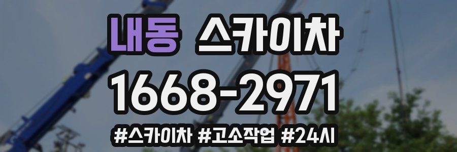 내동 스카이차