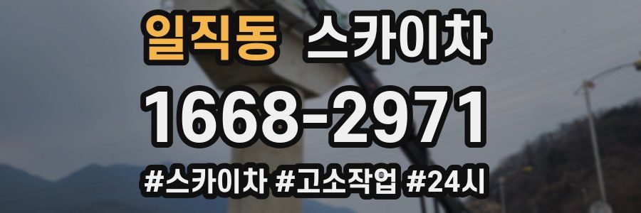 일직동 스카이차