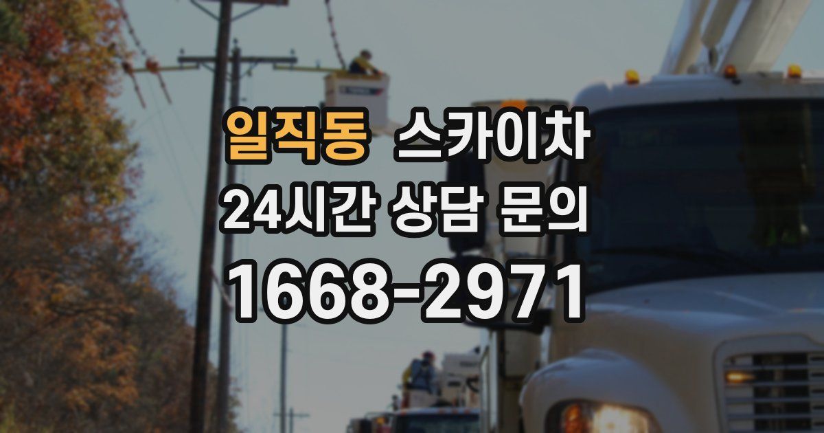 일직동 스카이차
