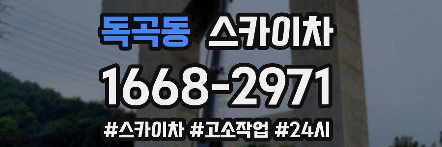 독곡동 스카이차