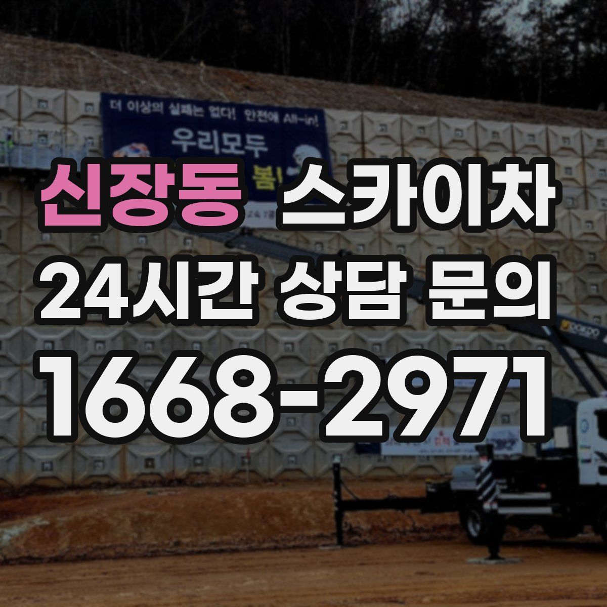 신장동 스카이차