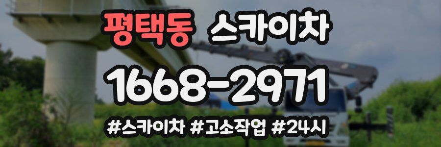 평택동 스카이차