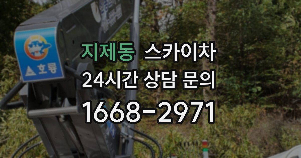 지제동 스카이차