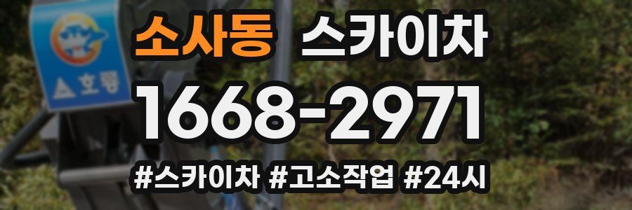 소사동 스카이차