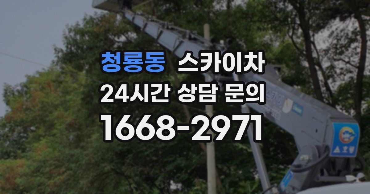 청룡동 스카이차