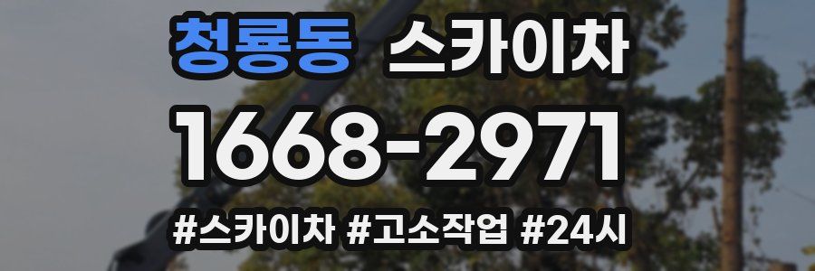 청룡동 스카이차