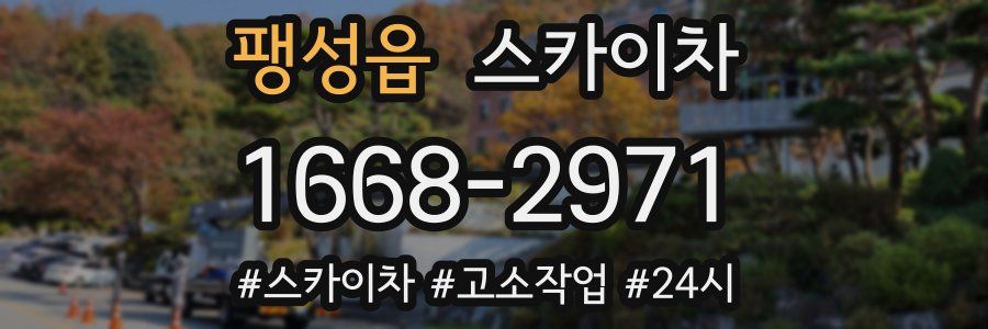 팽성읍 스카이차