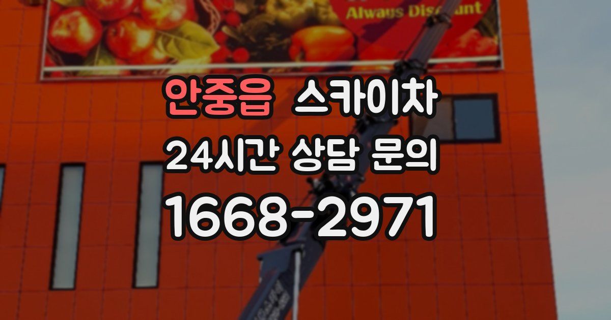 안중읍 스카이차