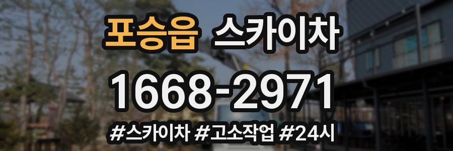 포승읍 스카이차
