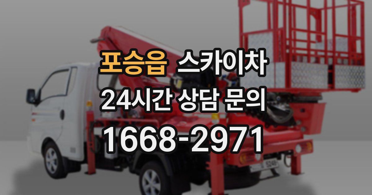 포승읍 스카이차
