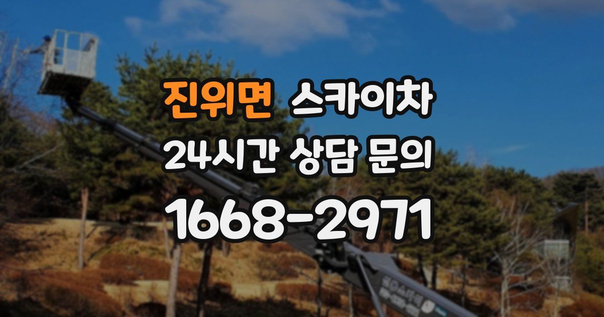 진위면 스카이차