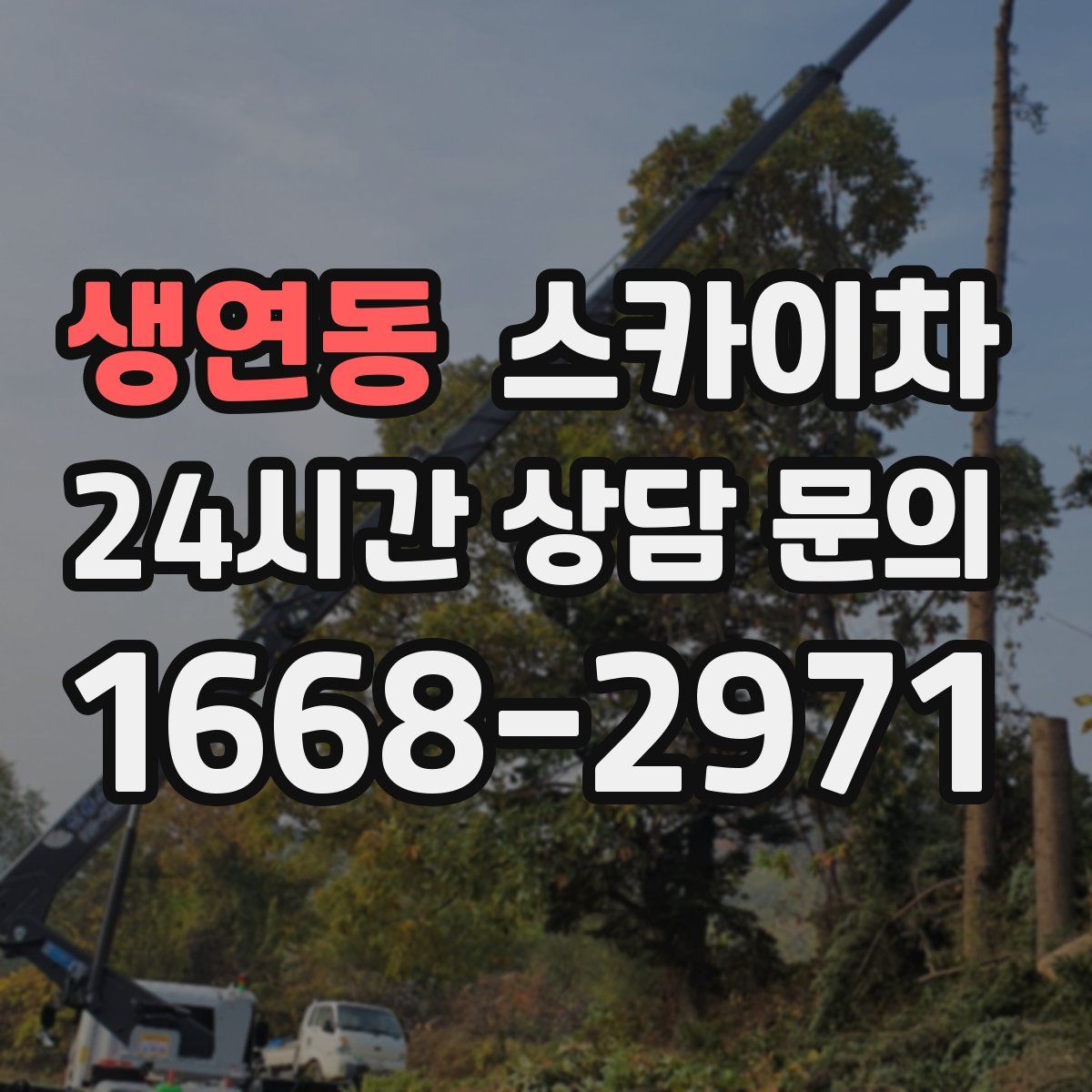 생연동 스카이차