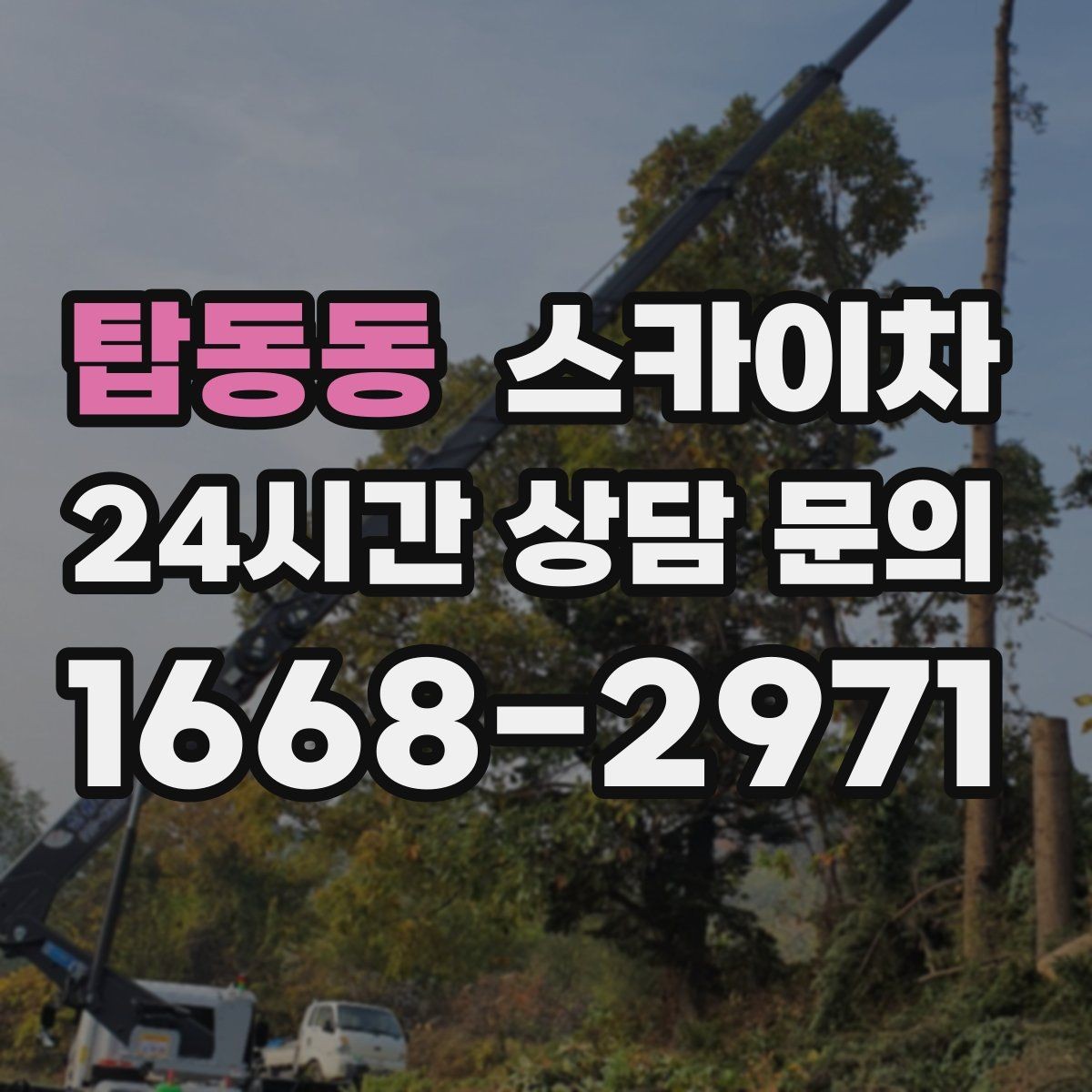 탑동동 스카이차 외부 배선 정리로 깔끔한 외관 만들기