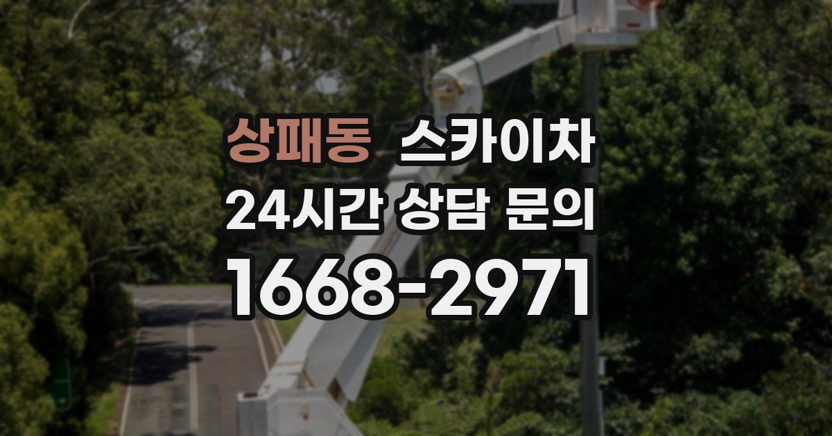 상패동 스카이차