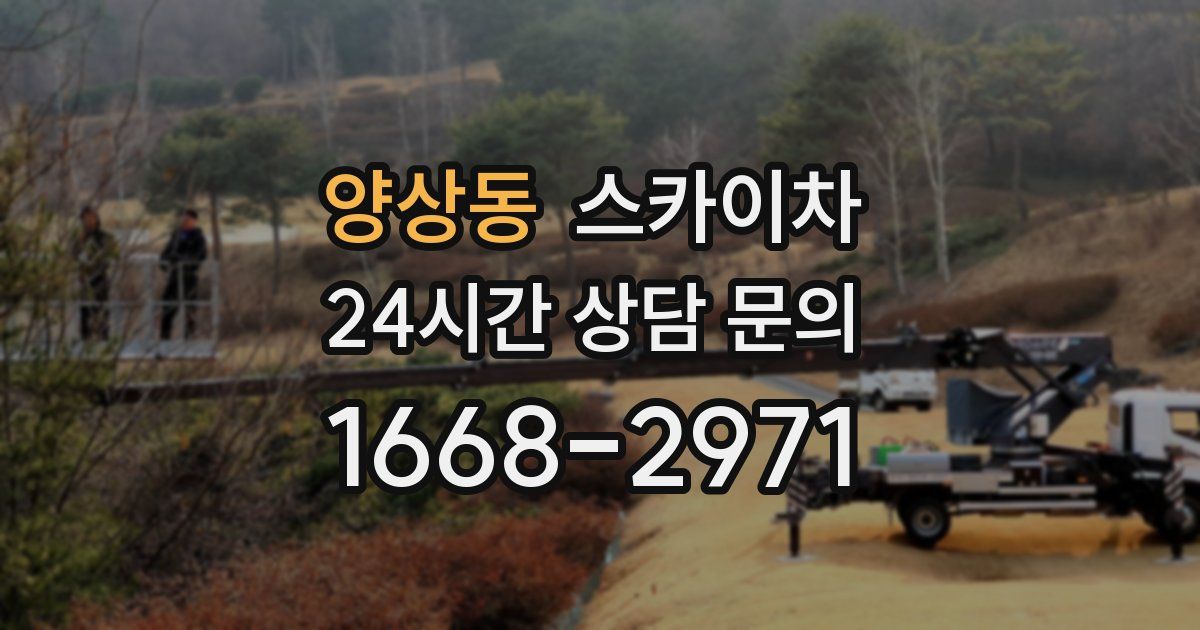 양상동 스카이차