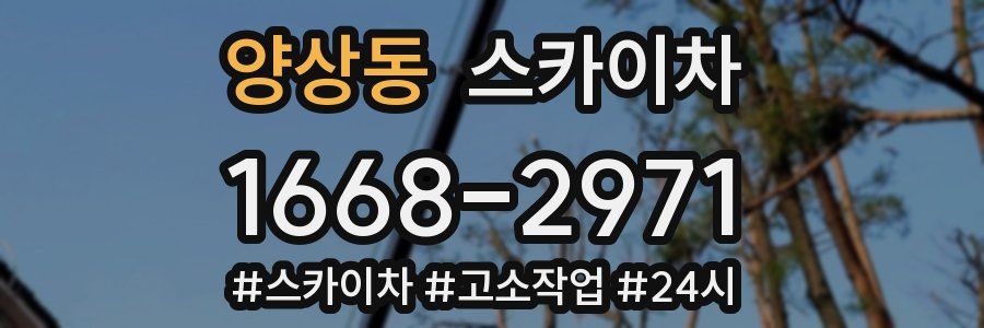 양상동 스카이차