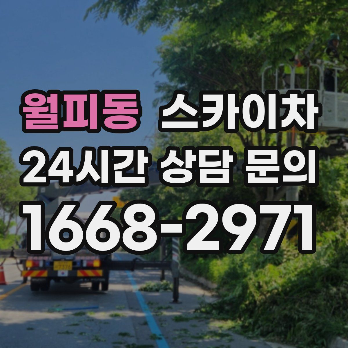월피동 스카이차