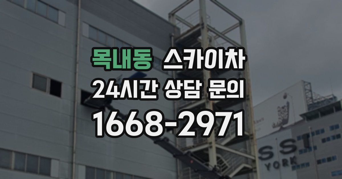 목내동 스카이차